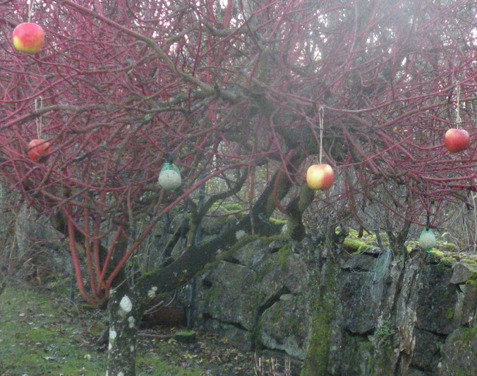 Pyntat i med ätbart i trädgården