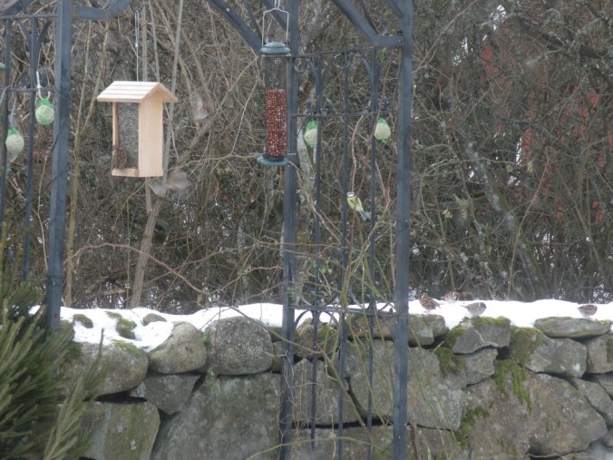 Matgäster i Bakfickan