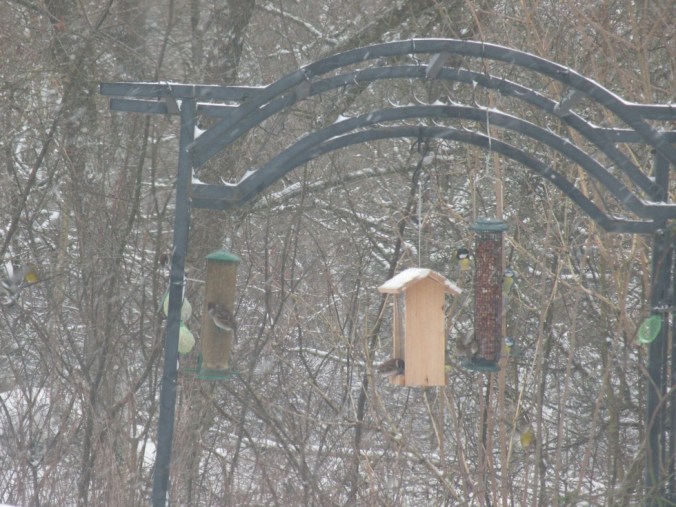 Nästan fullsatt restaurang ;)