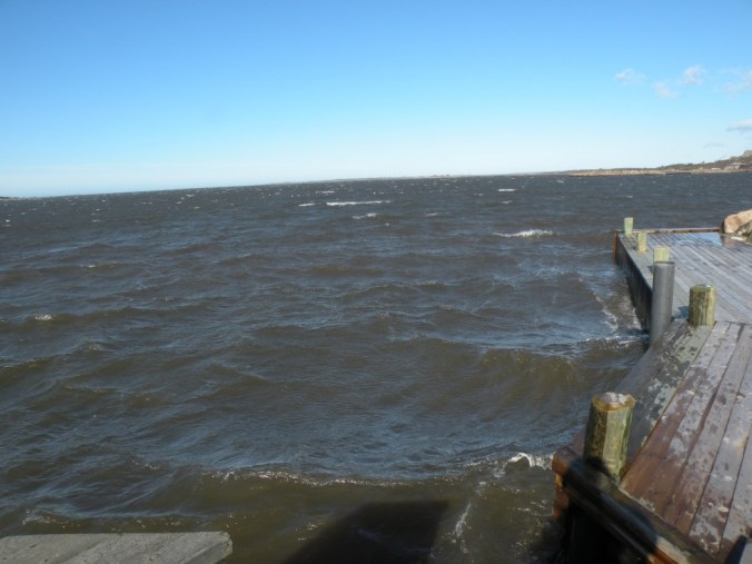 Hamninloppet i Norra Näs