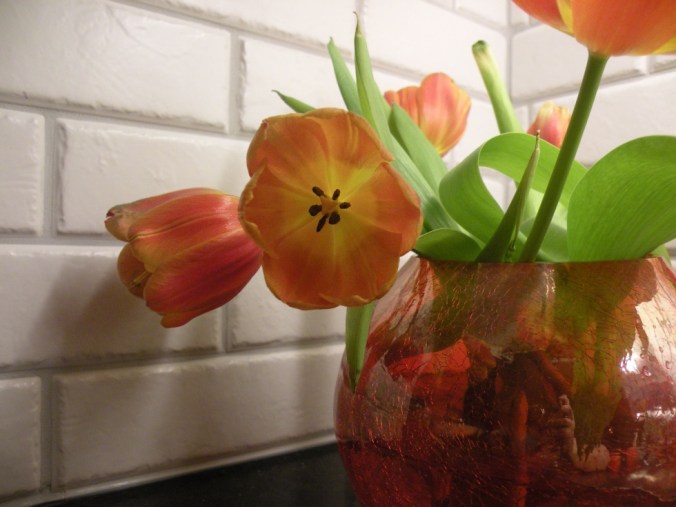 Hej svejs! Se på mej :)