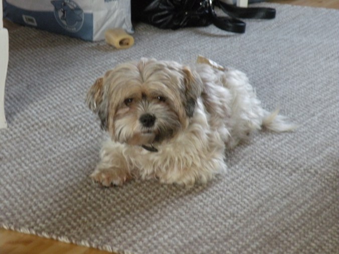 Lilla, söta, bästa, gossigaste, mysflickan Tindra Karlsson