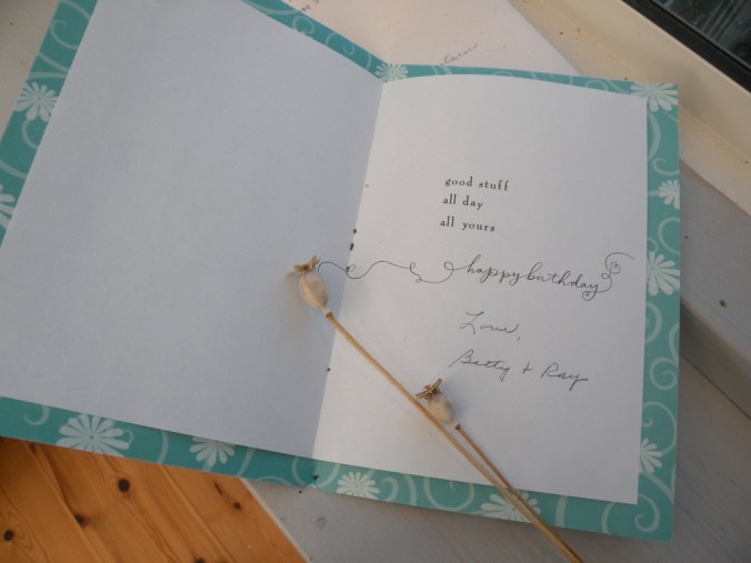 Födelsedagshälsning från Bay City, Michigan