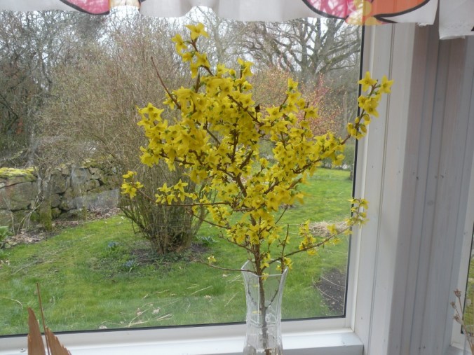 Vår både ute och inne