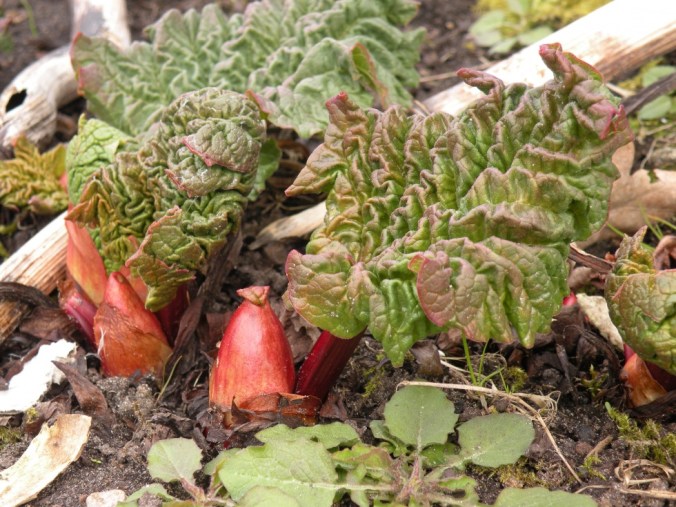 Goddag, goddag, nu kommer vi! :)