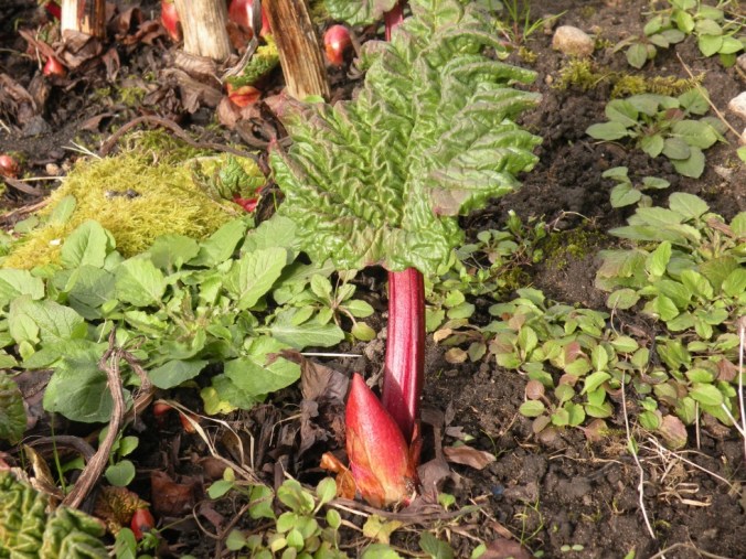 Huvudrollsinnehavaren! 