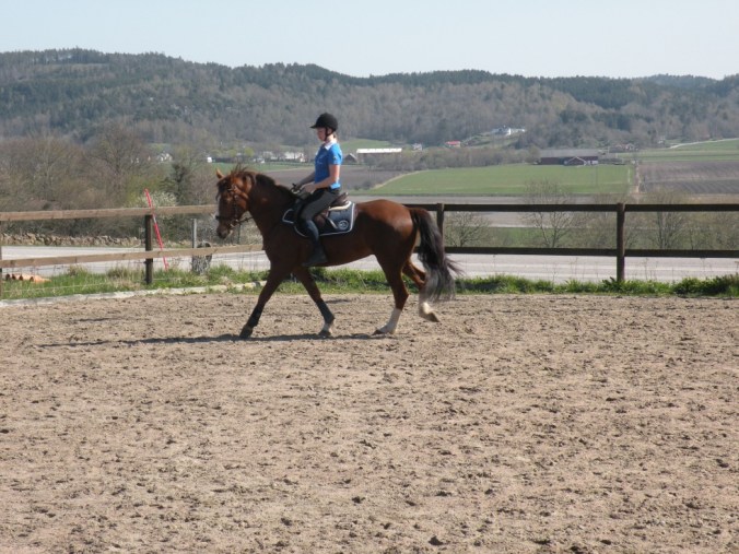 Bra ridning och fin utsikt