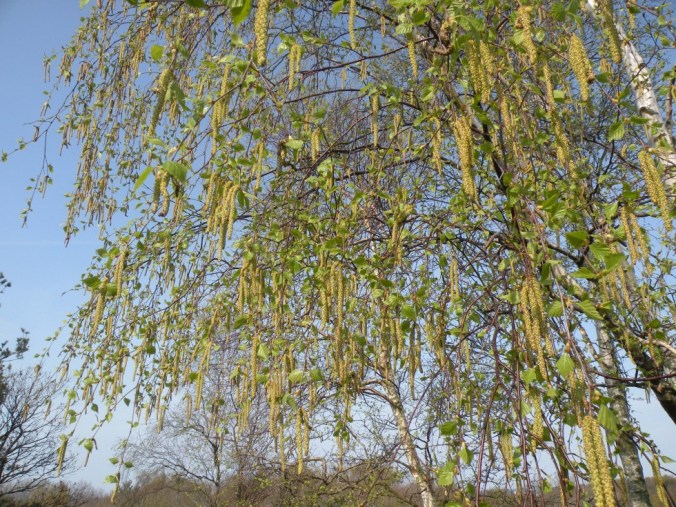 Sommarn är på väg!