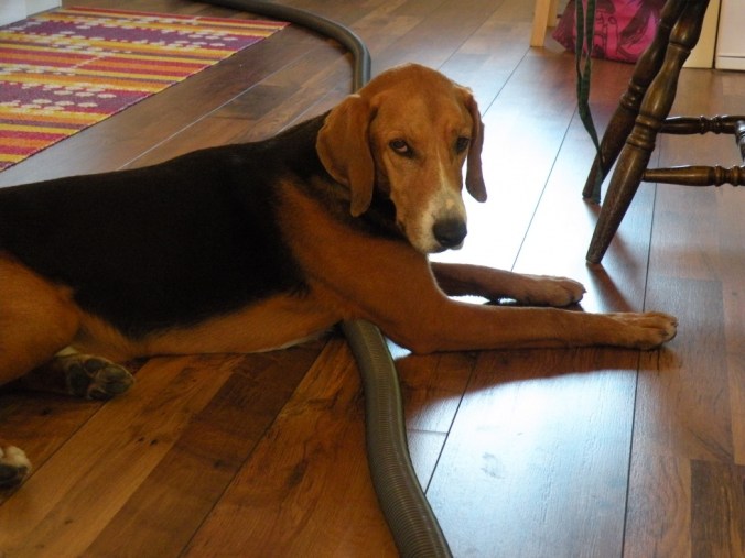 Har du inget bättre att göra?