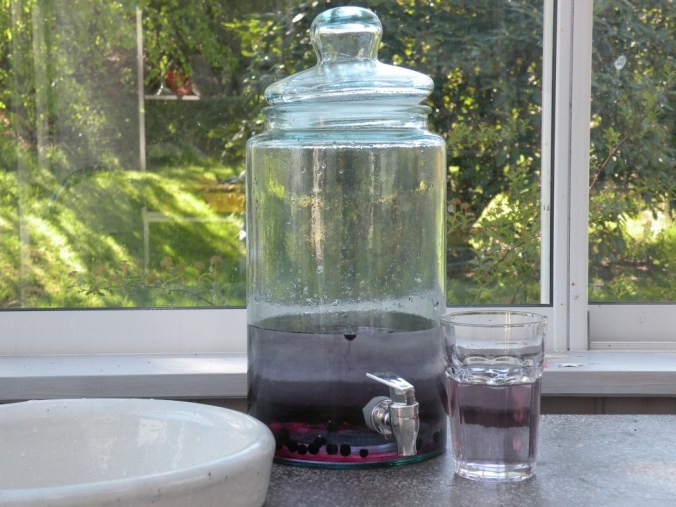 Gott blåbärsvatten