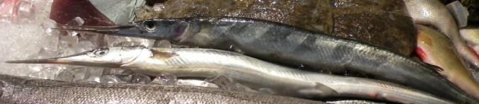 Nostalgi på hög nivå! Horngädda! 