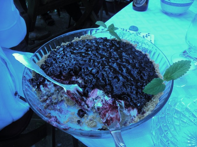 Fantastiskt god blåbärspaj!