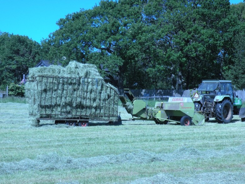 Massor av mat inför hösten!
