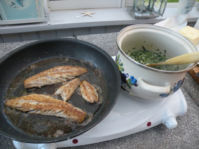 Makrill och spenat. Det är allt! 