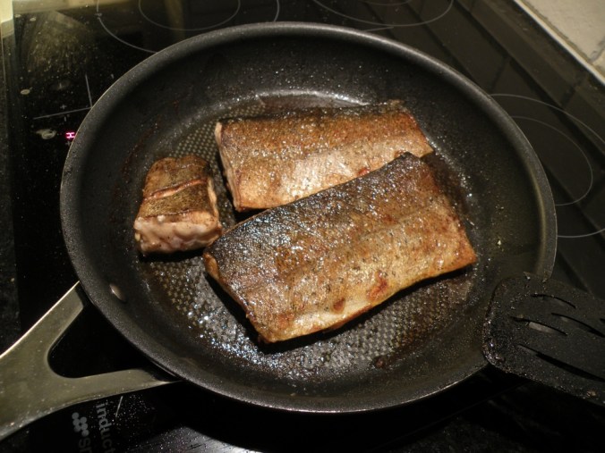 Srekt nyfångad öring