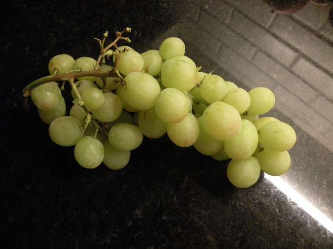 Vad ser det ut som...? :D 