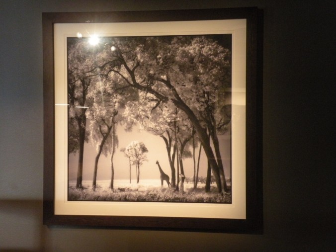 En av mina favoritbilder från Genesis