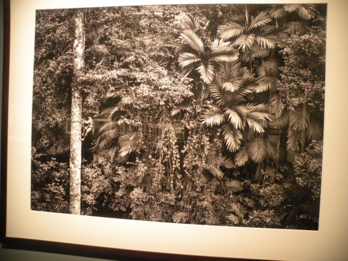 Titta riktigt noga på bilden. 