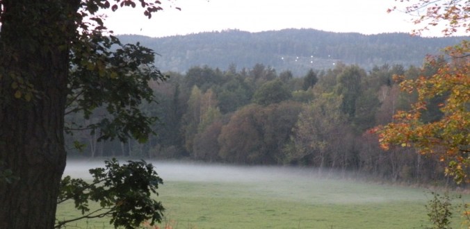 Morgondimma. Och ljuset på motionsslingan i fjärran lyser fortfarande