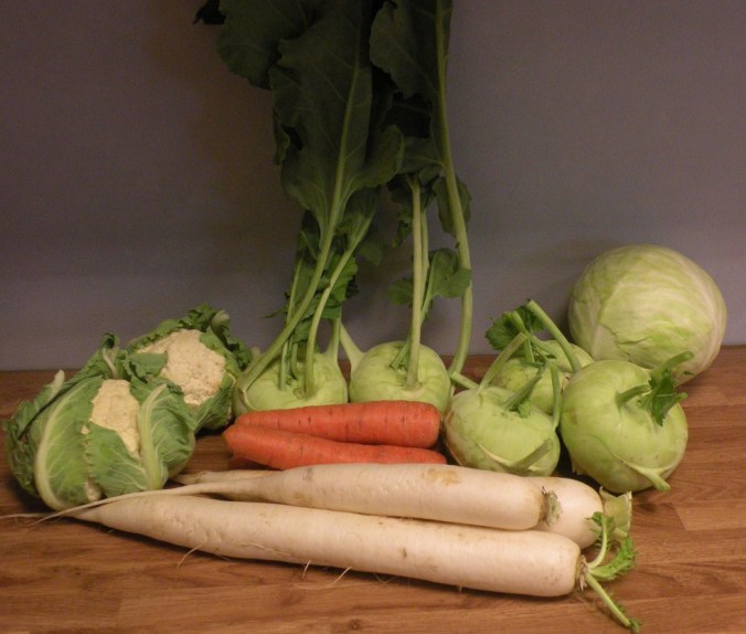 Blomkål, kålrabbi, vitkål, morot och rättika. Yummi!