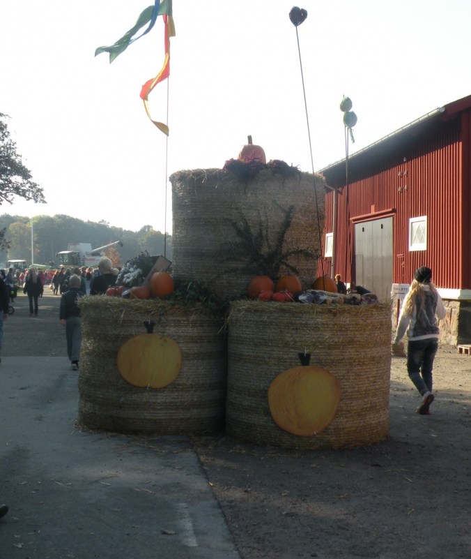 Välkmmen till Tjolöholms höstmarknad!