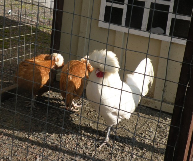 Snygg kille. Bra röstresurser hade han också!
