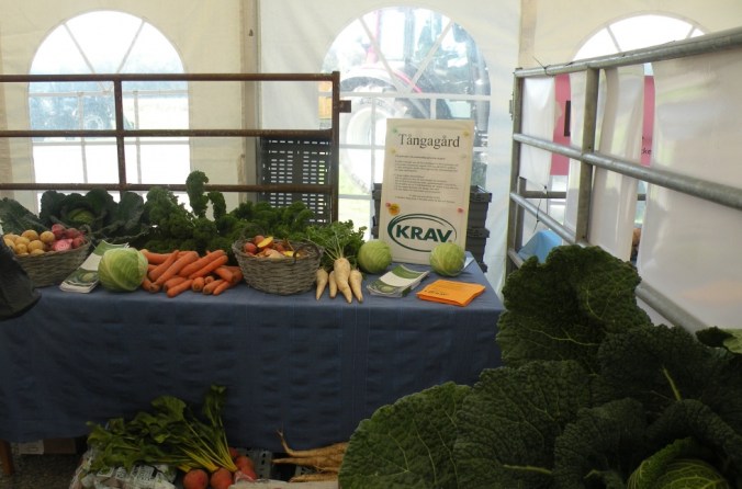 Tångagårds Kravgrönsaker 