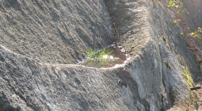 Vattenblänk i naturskreva