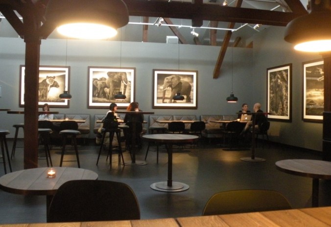 Caféet med naturfoton av Nick Brandt