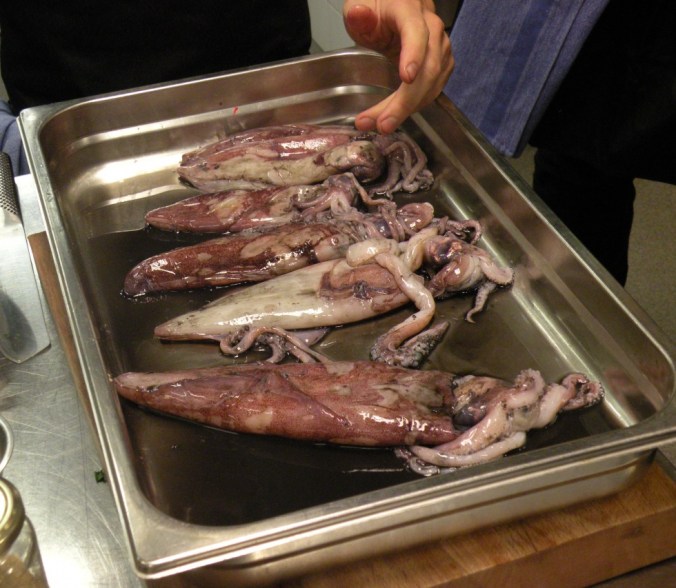 Bläckfisk från svenska vatten.