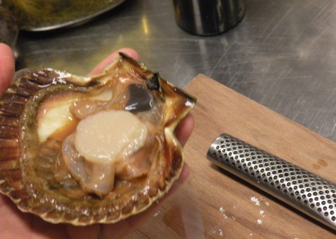 Öppnad pilgrimsmussla