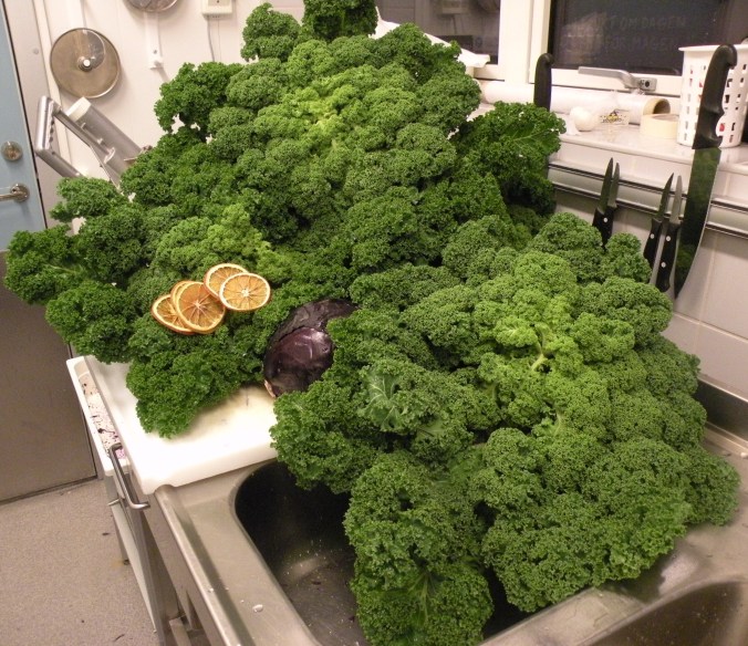 Idag, grönkål från halländska Fjärås