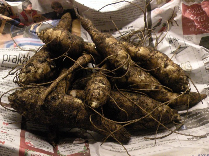 Nope. Inte invasion från yttre världsrymden - utan jordärtskockor