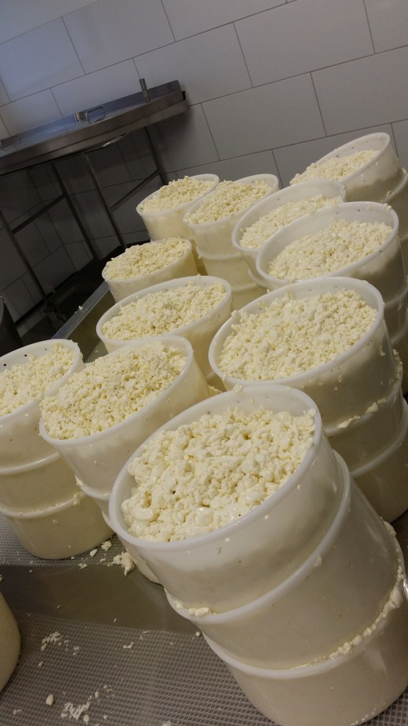 En massa formar med massa