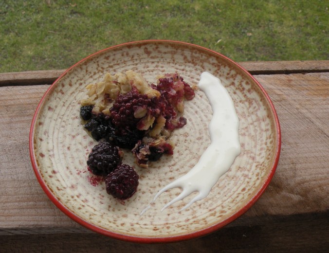 Bärpaj. Blåbär och björnbär - gott!  På fat från Höganäs