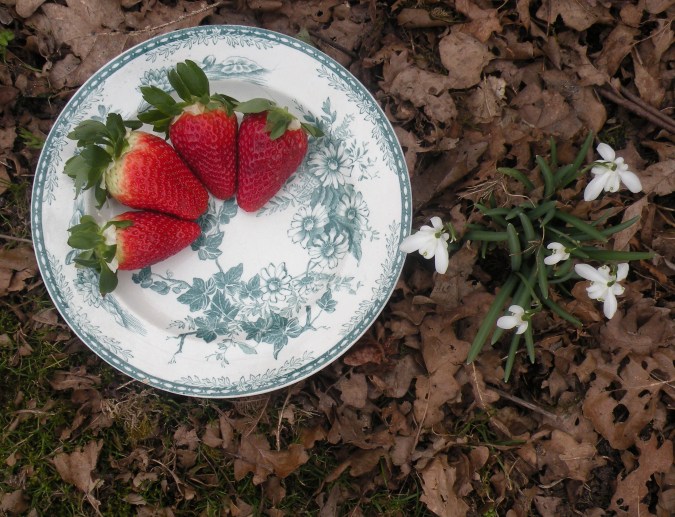 Snygga gubbar på fatet Flora från Gustafsberg