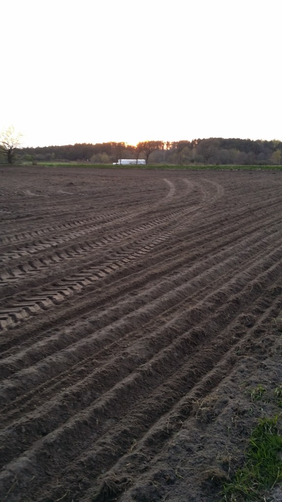 Nysått! Här ska maten snart växa.