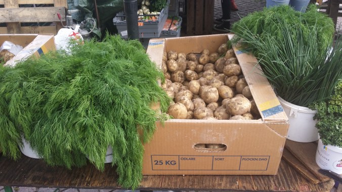 Dagens huvudpersonligheter!