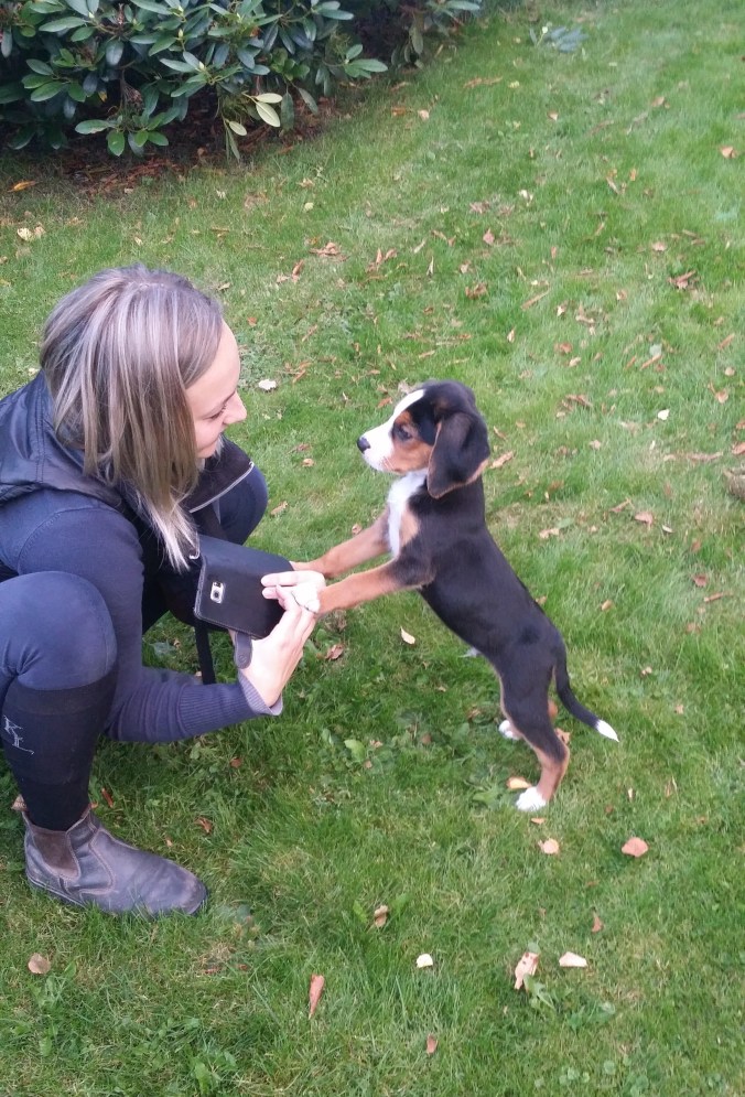 Söta, tuffa gullungen Nexus med favoritSanna!