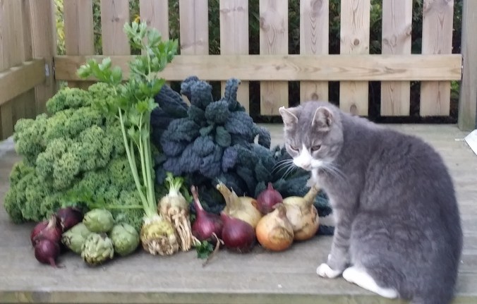 Lukas inspekterar inköpen