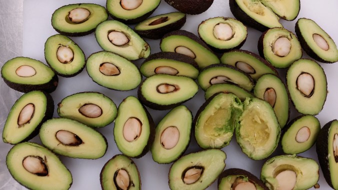 Perfekt mogna avocados!