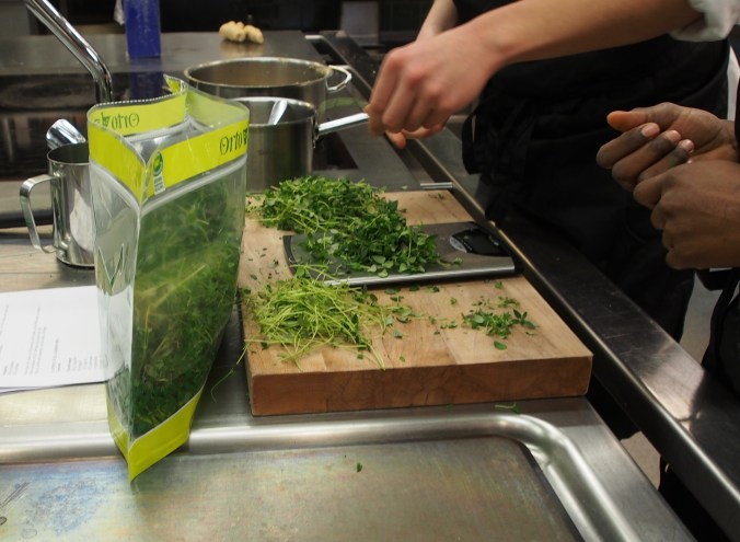 Timjan repas för att bli till timjanolja och timjanglass