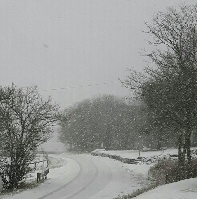 20160220_094135-1-1-1-1