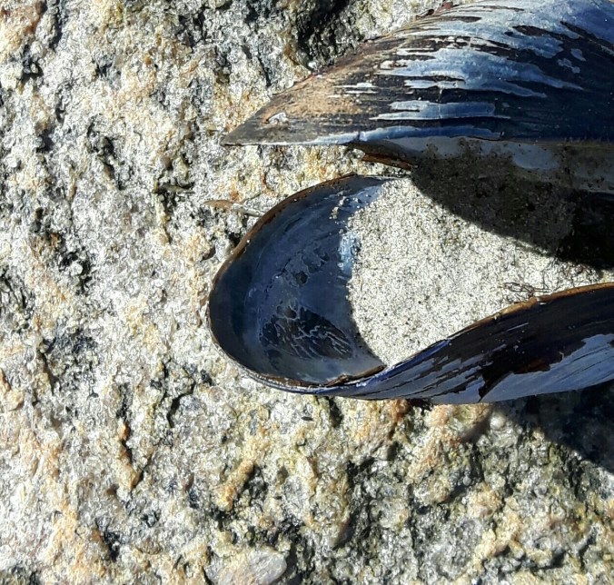 20160401_111755-1-1-1