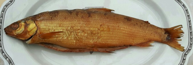 20160624_093104-1-1-1