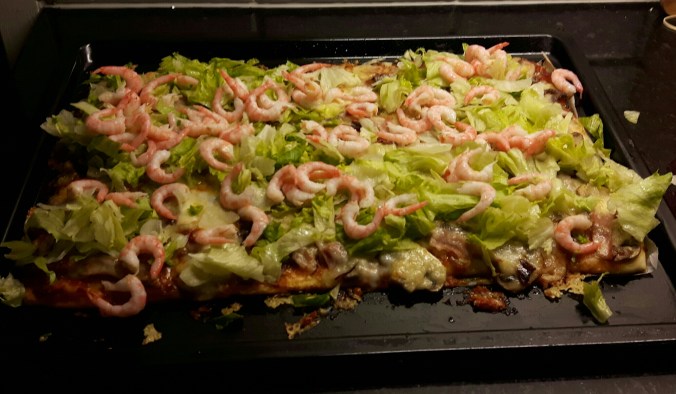 20170120_195218-1-1-1