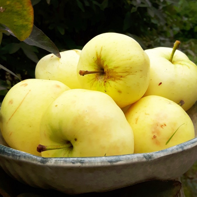 IMG_20170826_164030_318