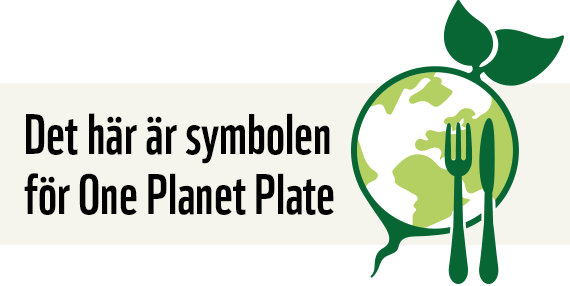 oneplanetplate
