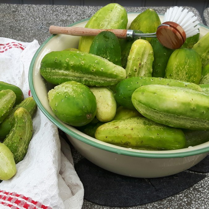 IMG_20180812_191128_629