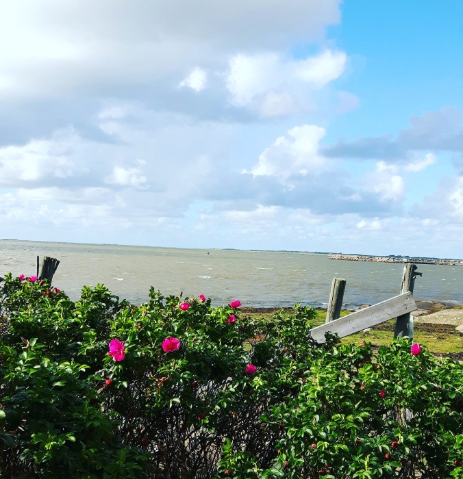 IMG_20180923_153457_218